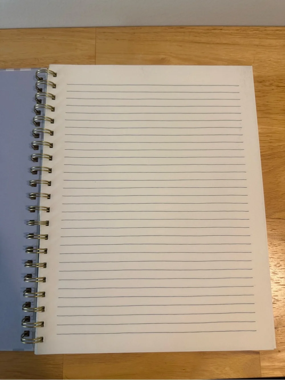 Rae Dunn Blue and Cream Plaid Spiral Notebook - NOTES